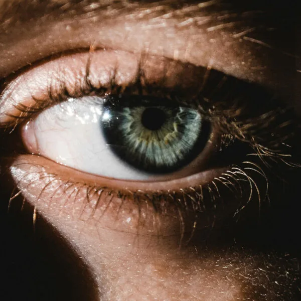 Close-up of a bright, alert eye